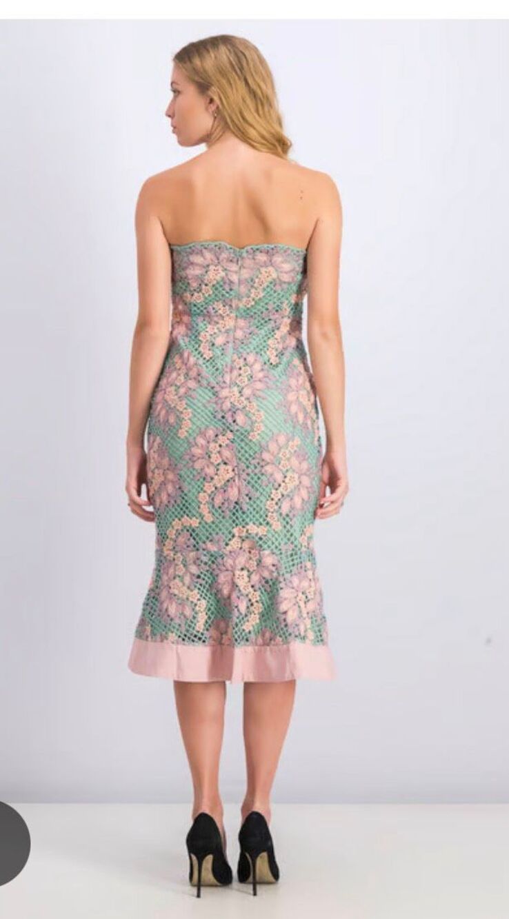 Foxiedox Jasmine Strapless Lace Midi Dress mint green mesh overlay xl Anthropolo